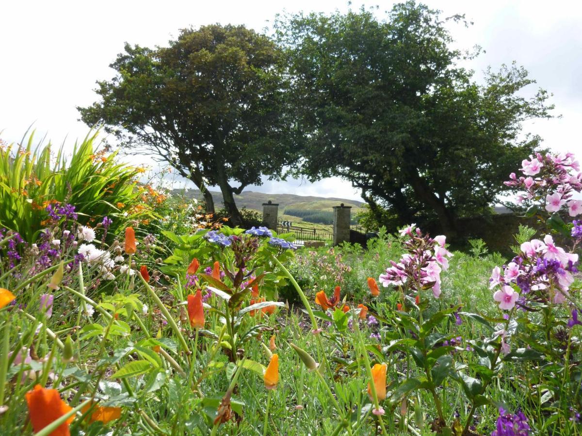 Armadale House Scotland Farr North Coast B&B ภายนอก รูปภาพ