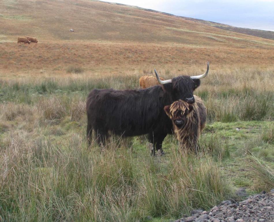 Armadale House Scotland Farr North Coast B&B ภายนอก รูปภาพ