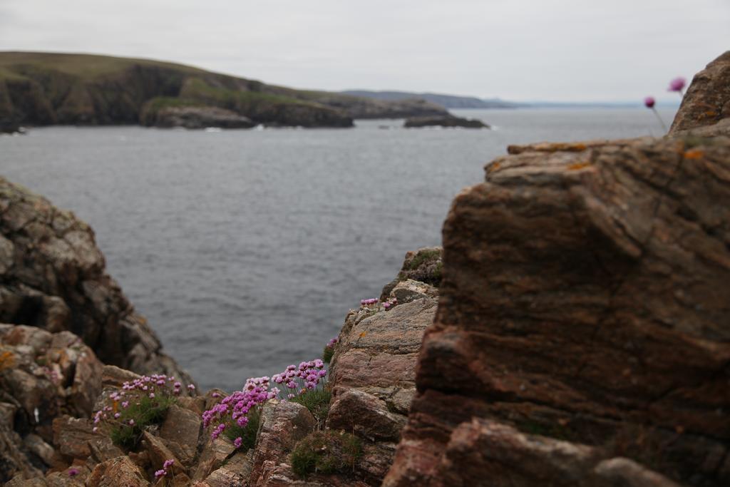 Armadale House Scotland Farr North Coast B&B ภายนอก รูปภาพ